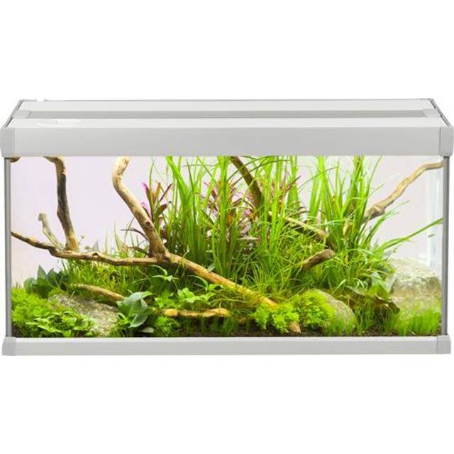 Akvarium