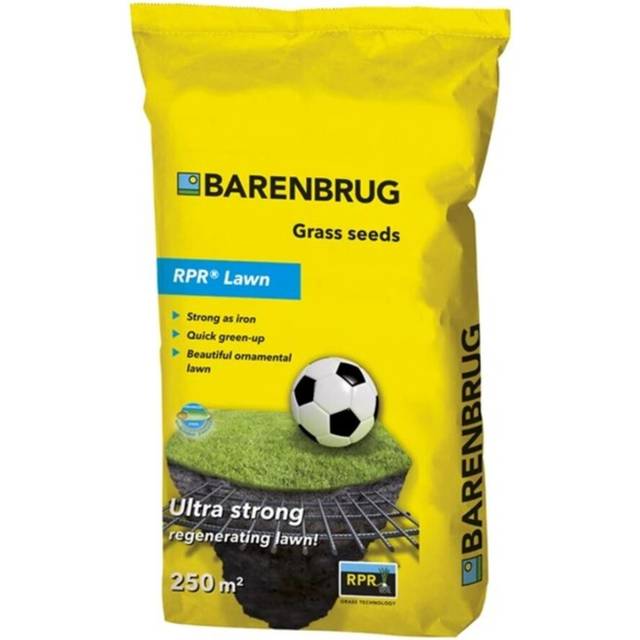 Leer / Græsså