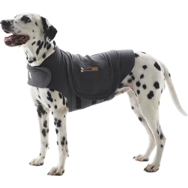 Thundershirt Safety