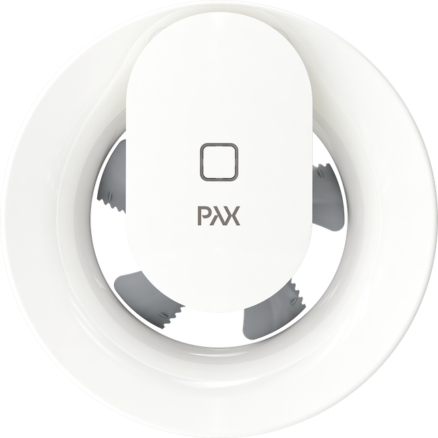 Pax Levante 40