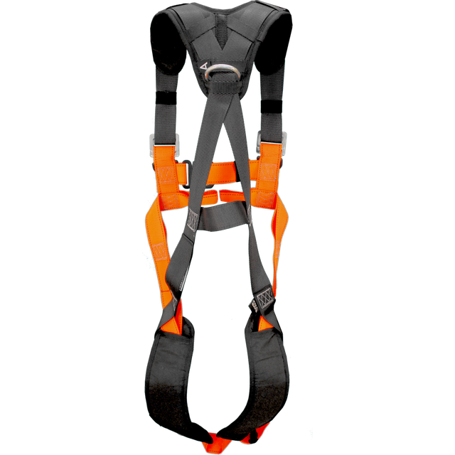 FallSafe FS2025