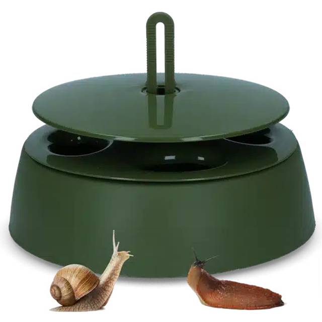 Sneglefælde