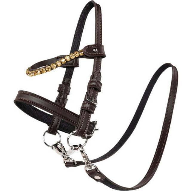 Horse Trense Med Sten - Brun
