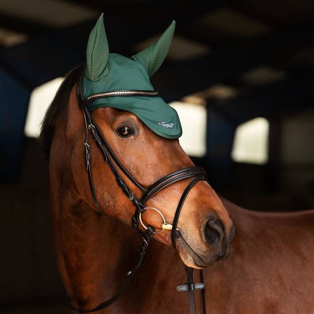 Fairfield Hickstead