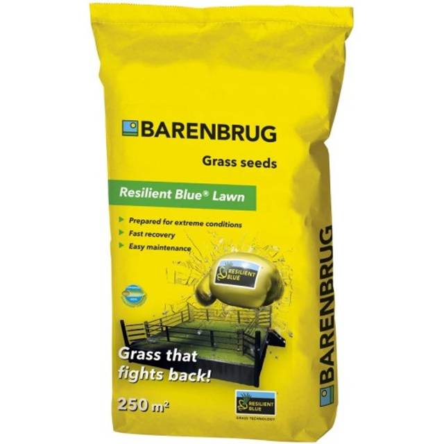 Barenbrug Resilent