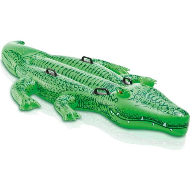 Intex Alligator